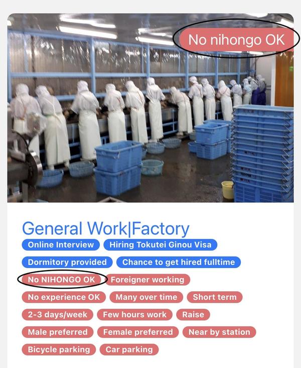 No Nihongo Jobs.jpg